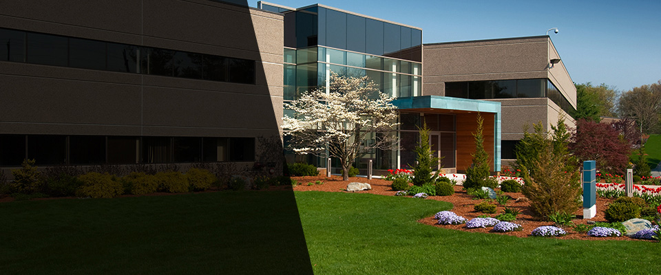 Palos Verdes Peninsula Landscapers