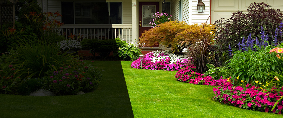 Palos Verdes Peninsula Landscapers