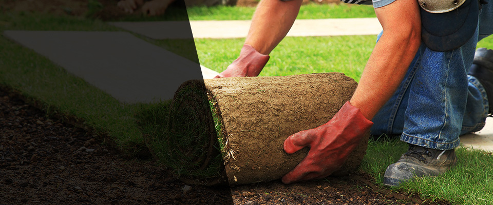 Palos Verdes Peninsula Landscapers